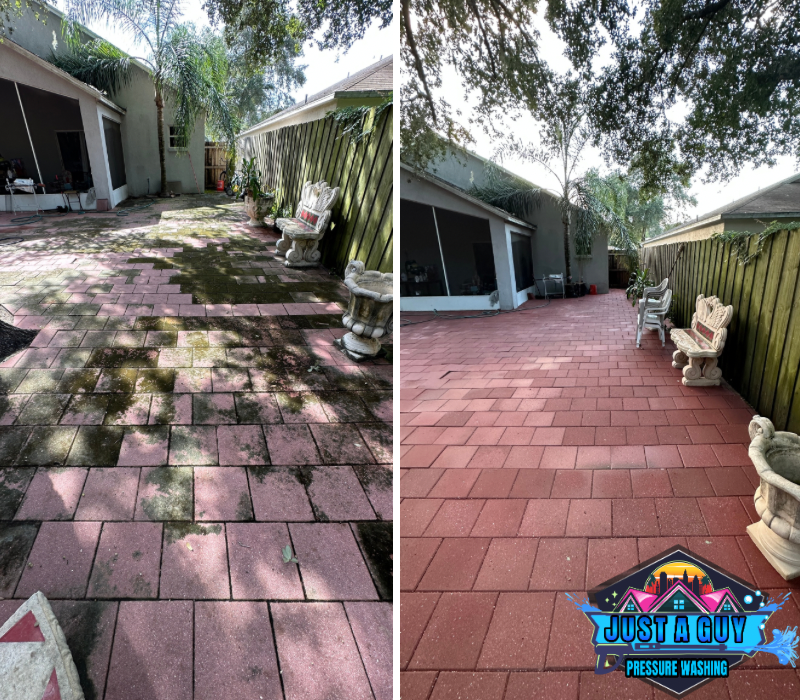 Just A Guy Exterior Services LLC photo 2