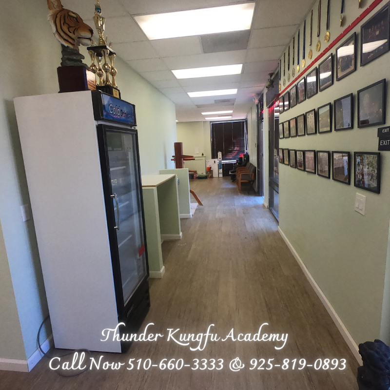 THUNDER KUNG FU ACADEMY photo 4