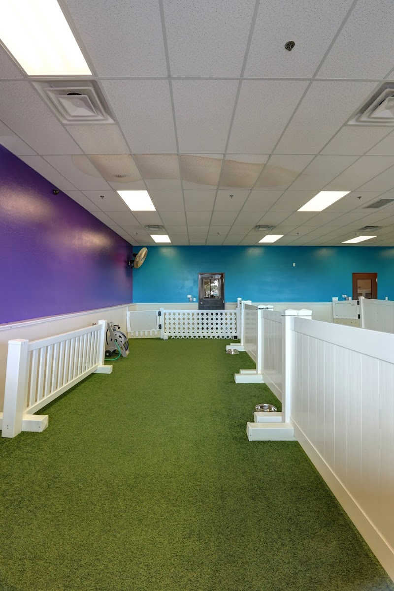 HeartStrings Pet Resort and Daycare photo 5