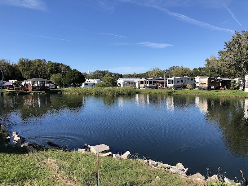 Sherwood Forest RV Resort photo 5