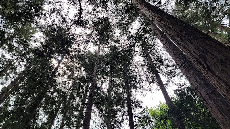 Bolinas Park photo 3