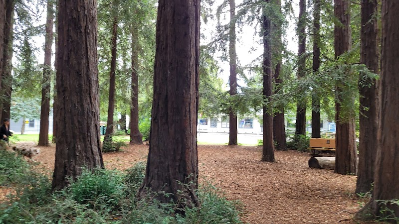 Photo of Bolinas Park