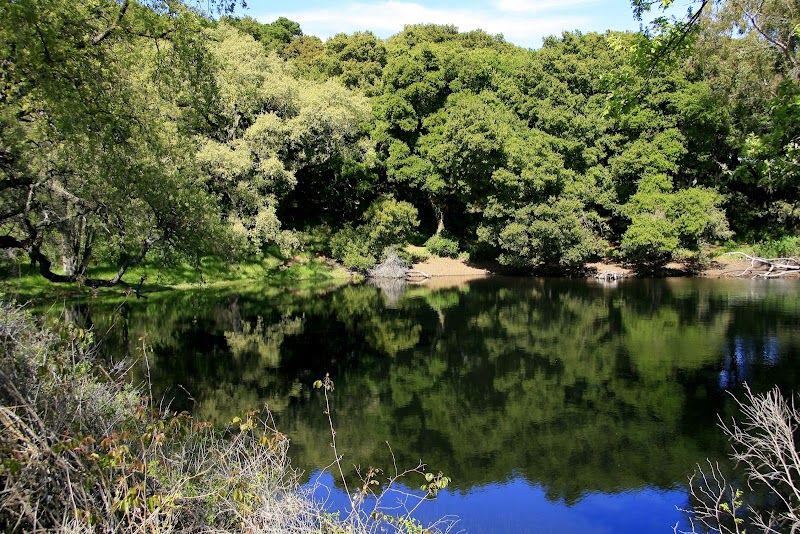 Picchetti Ranch photo 4