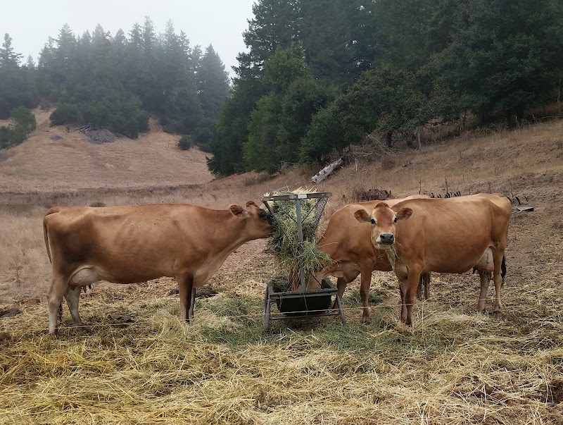 Green Valley Farm + Mill photo 2