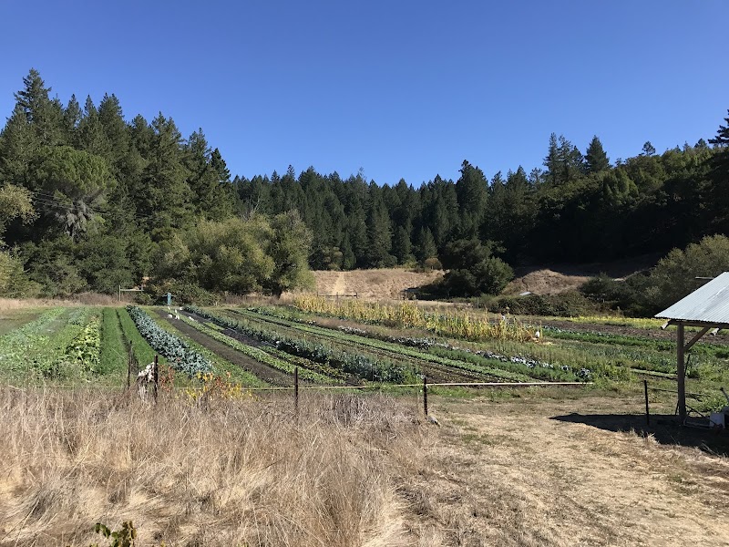 Photo of Green Valley Farm + Mill