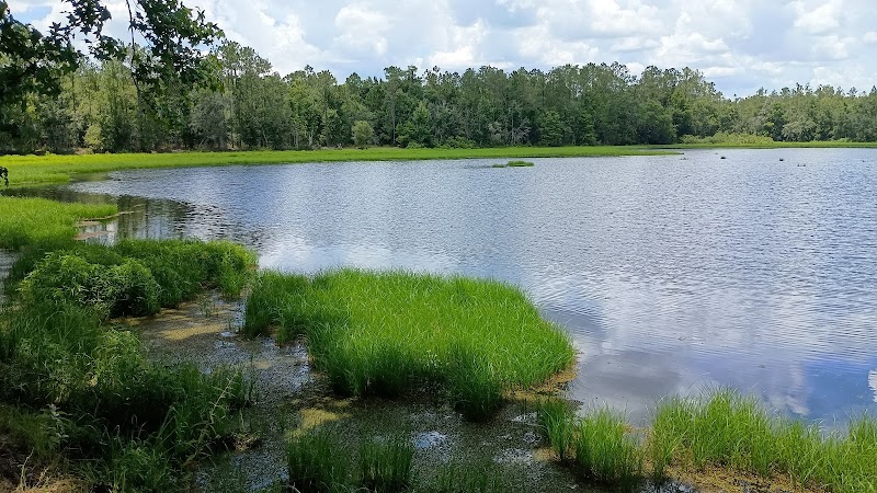 Revels Pond Day Use Recreation Area photo 2