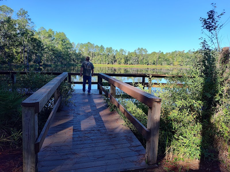 Revels Pond Day Use Recreation Area photo 5