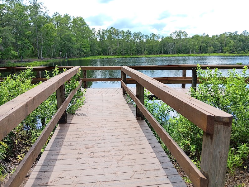Revels Pond Day Use Recreation Area photo 4