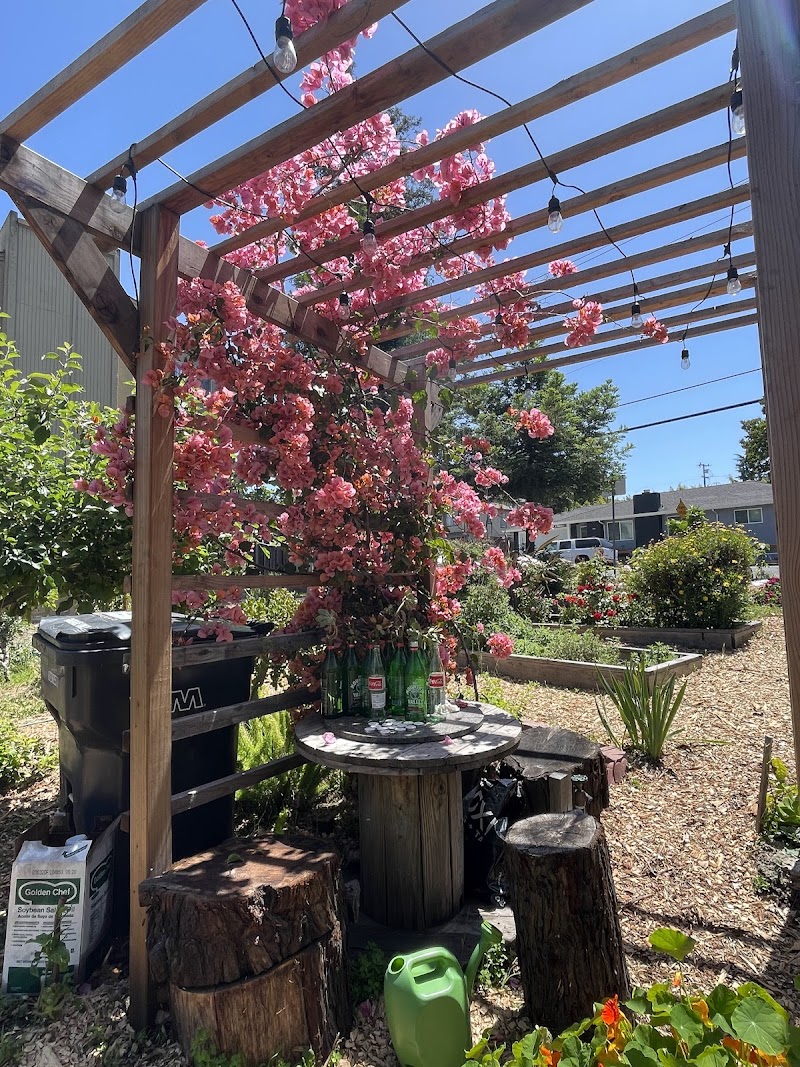 Photo of Hazel Community Garden