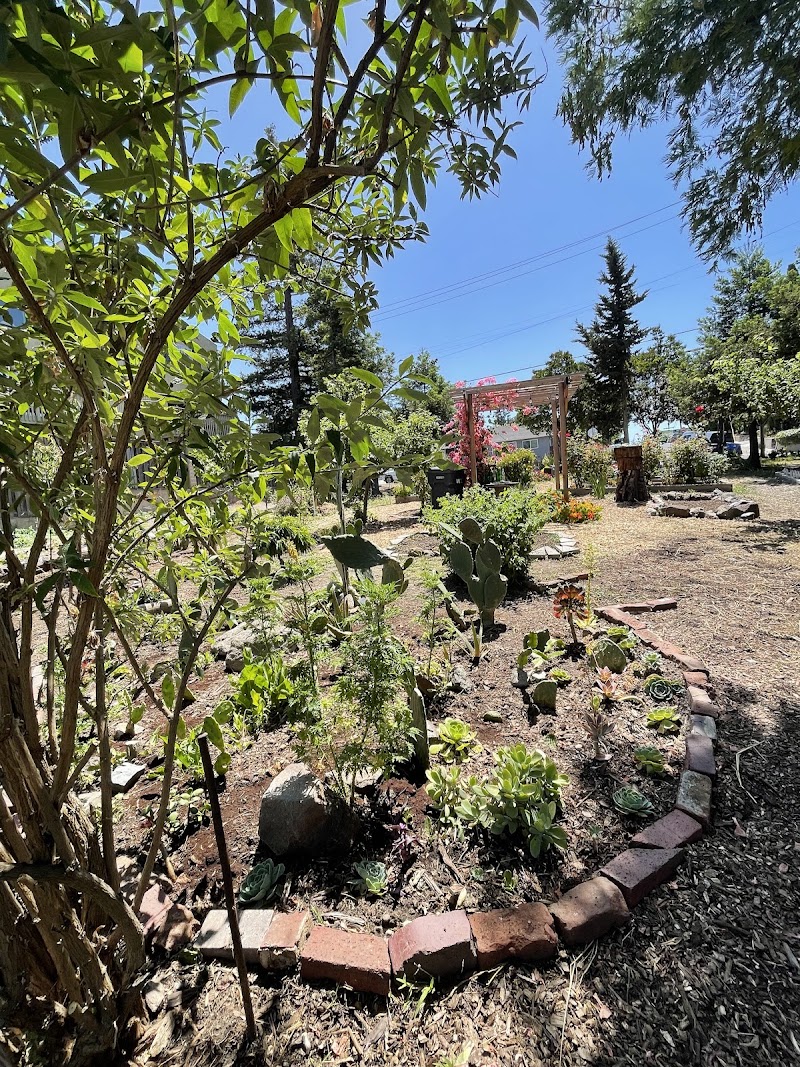 Hazel Community Garden photo 3