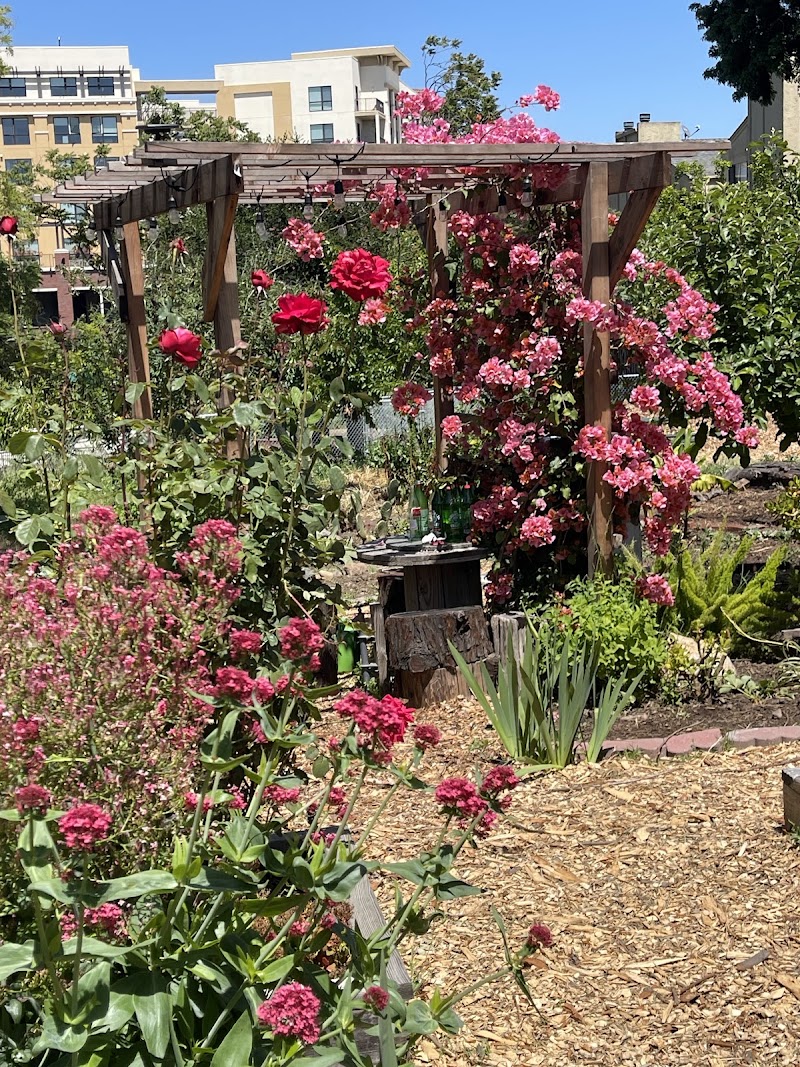 Hazel Community Garden photo 2
