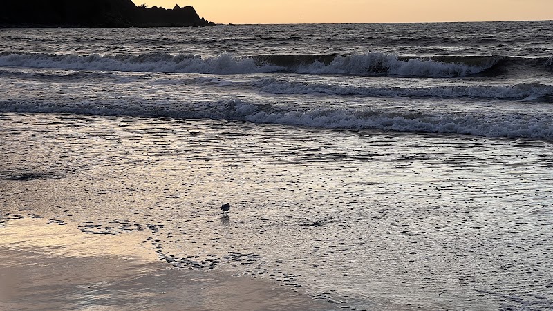 San Pedro Beach photo 3