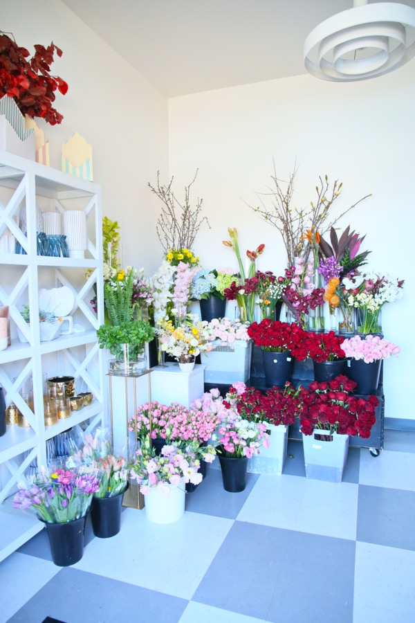 Dream Flowers photo 4