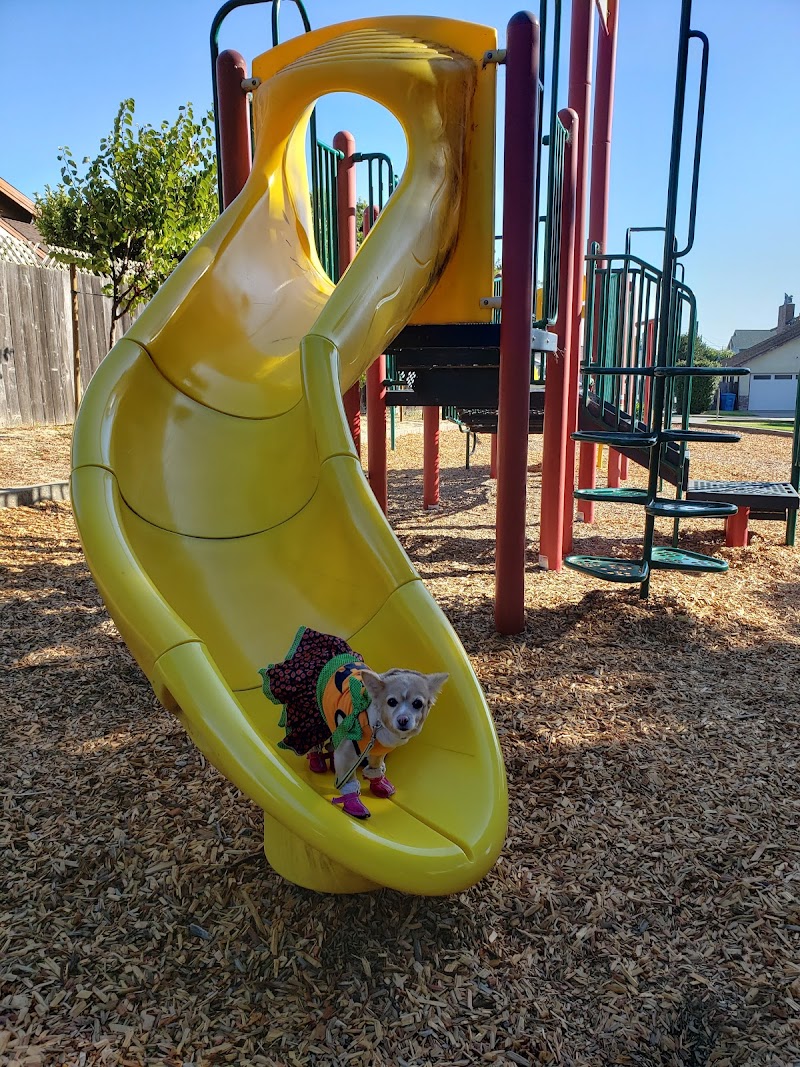 Grundy Park photo 4