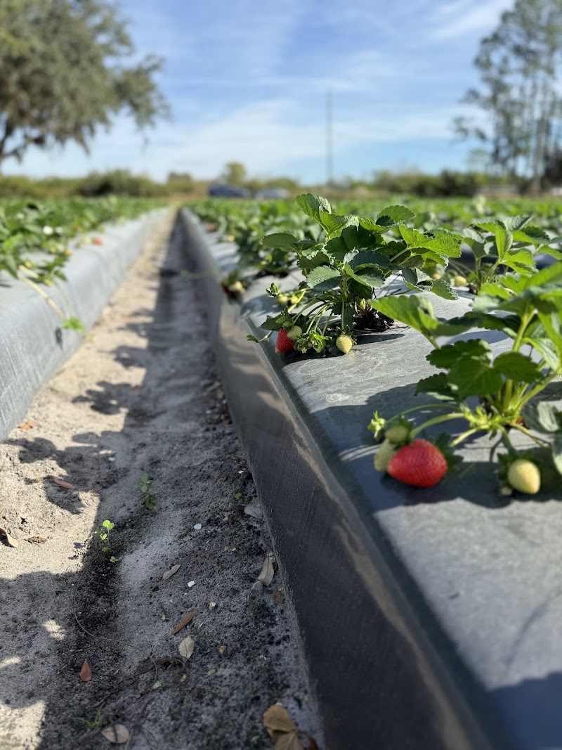 AR FARMS photo 2