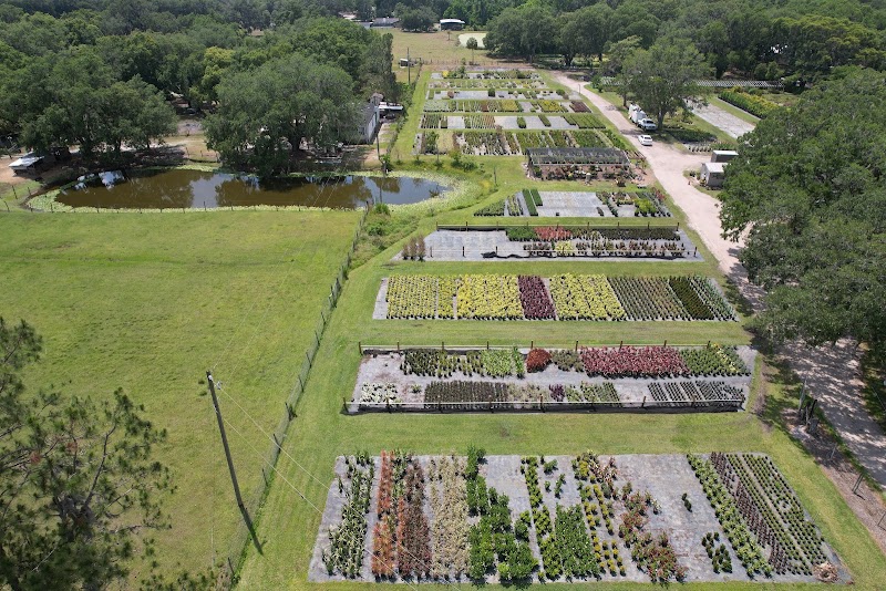 AR FARMS photo 4