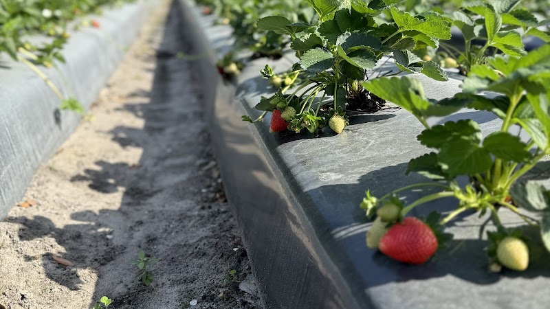 Photo of AR FARMS