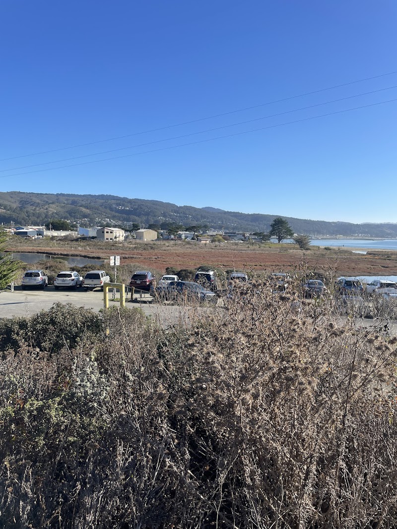 Pillar Point Parking Lot photo 5