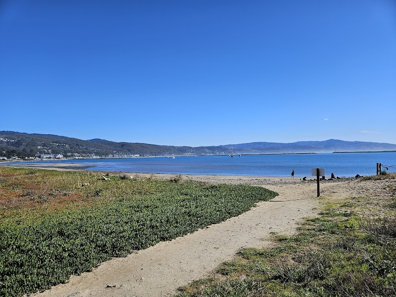 Pillar Point Parking Lot photo 4
