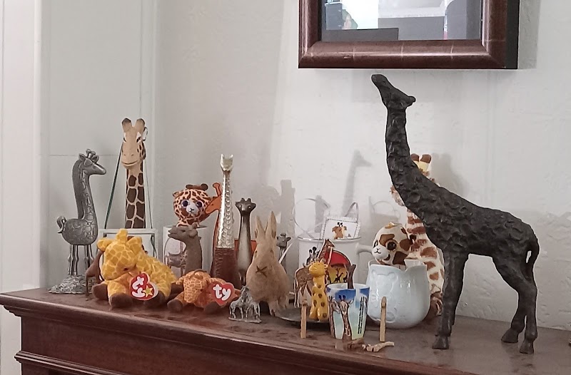 Photo of Leedo Art & Framing