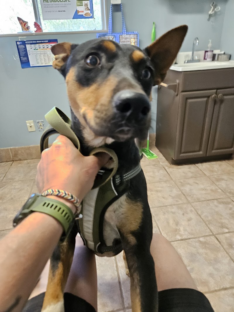 Photo of Benson Animal Hospital