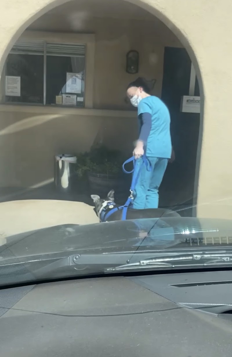 Benson Animal Hospital photo 2