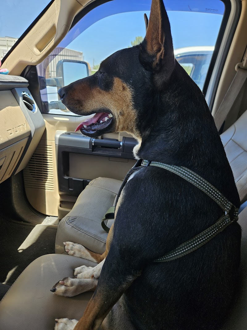 Benson Animal Hospital photo 3