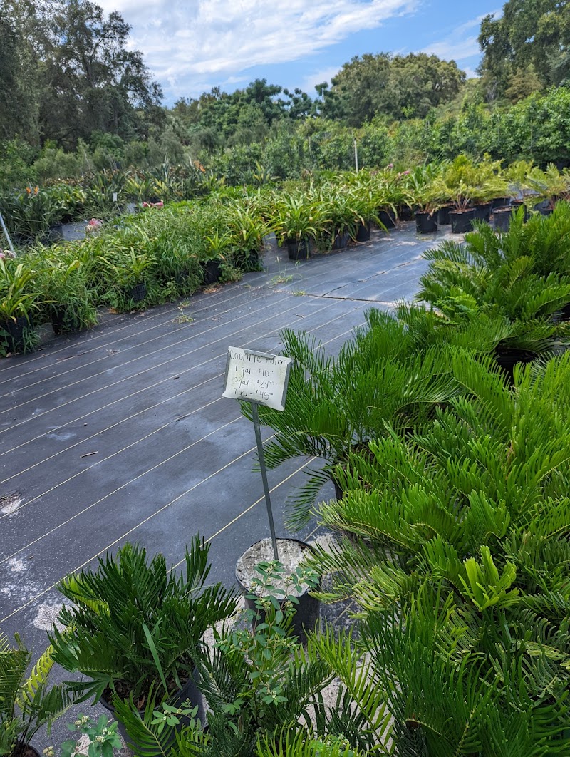 Aventura Nursery & Landscape Inc photo 2