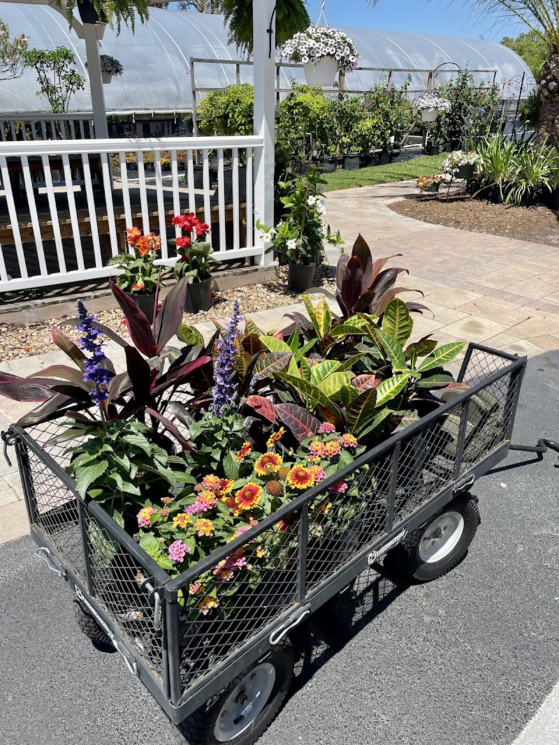 Photo of Aventura Nursery & Landscape Inc