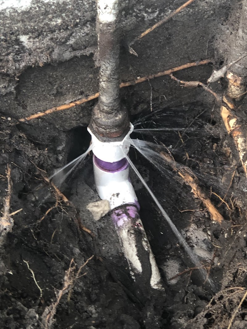 Photo of Dave The Leak Guy