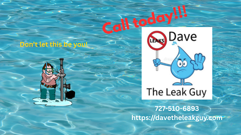 Dave The Leak Guy photo 3
