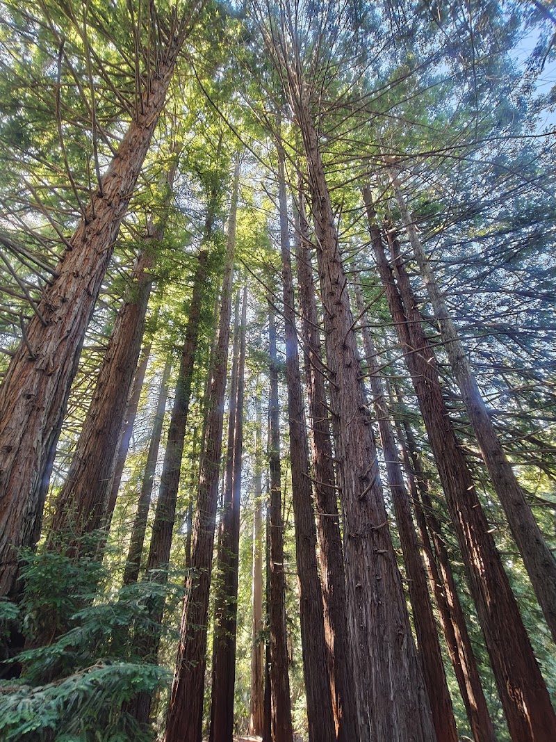 Tilden Regional Park photo 5