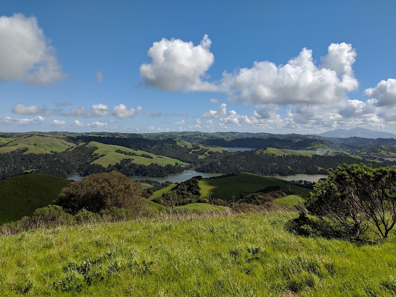 Photo of Tilden Regional Park