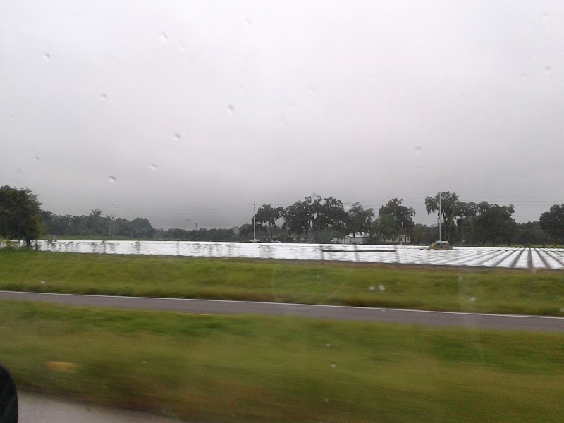 Country Oaks Adult Mobile Home Park photo 2