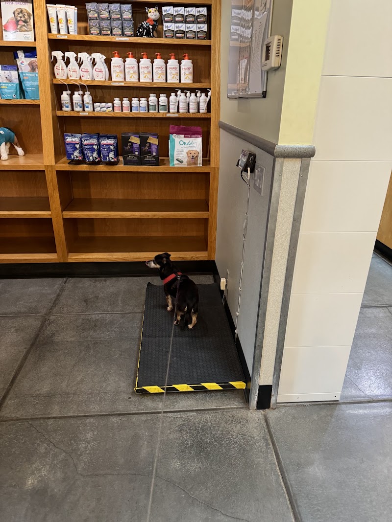 Animal Medical Center of Healdsburg photo 2