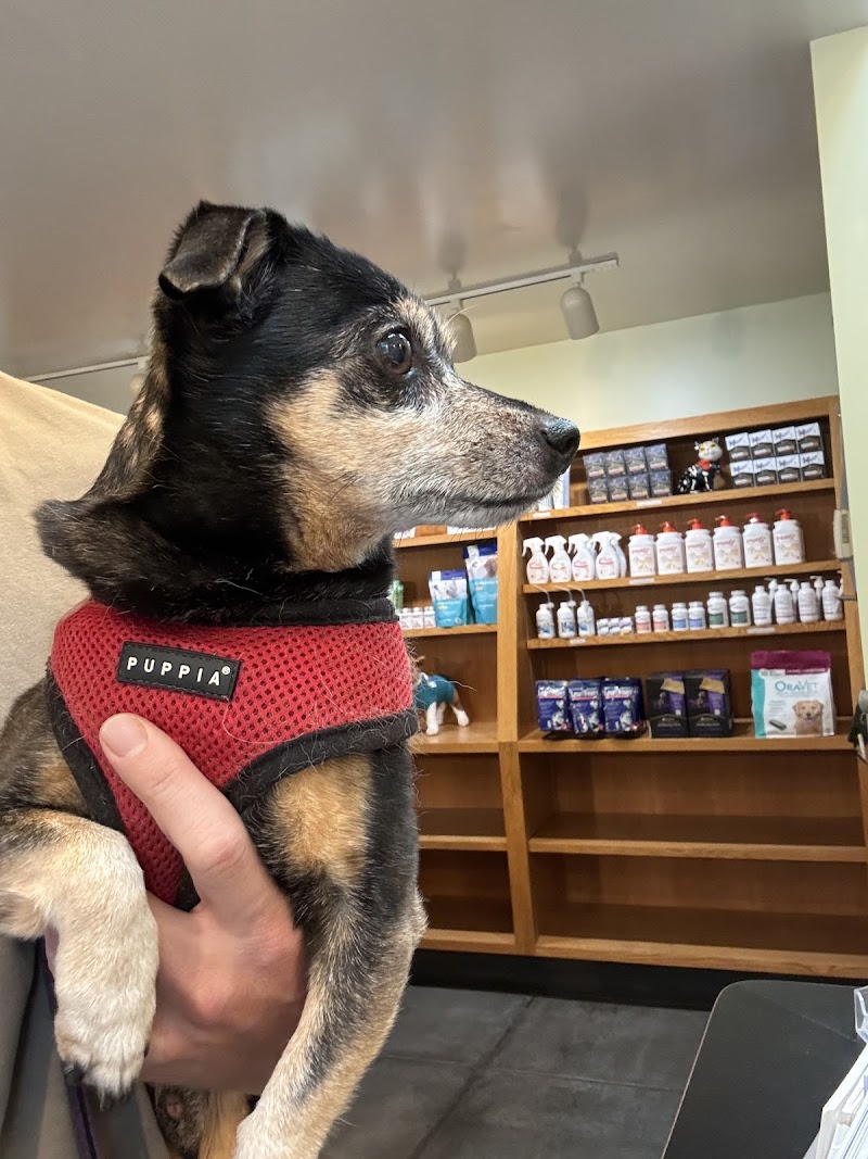 Animal Medical Center of Healdsburg photo 5