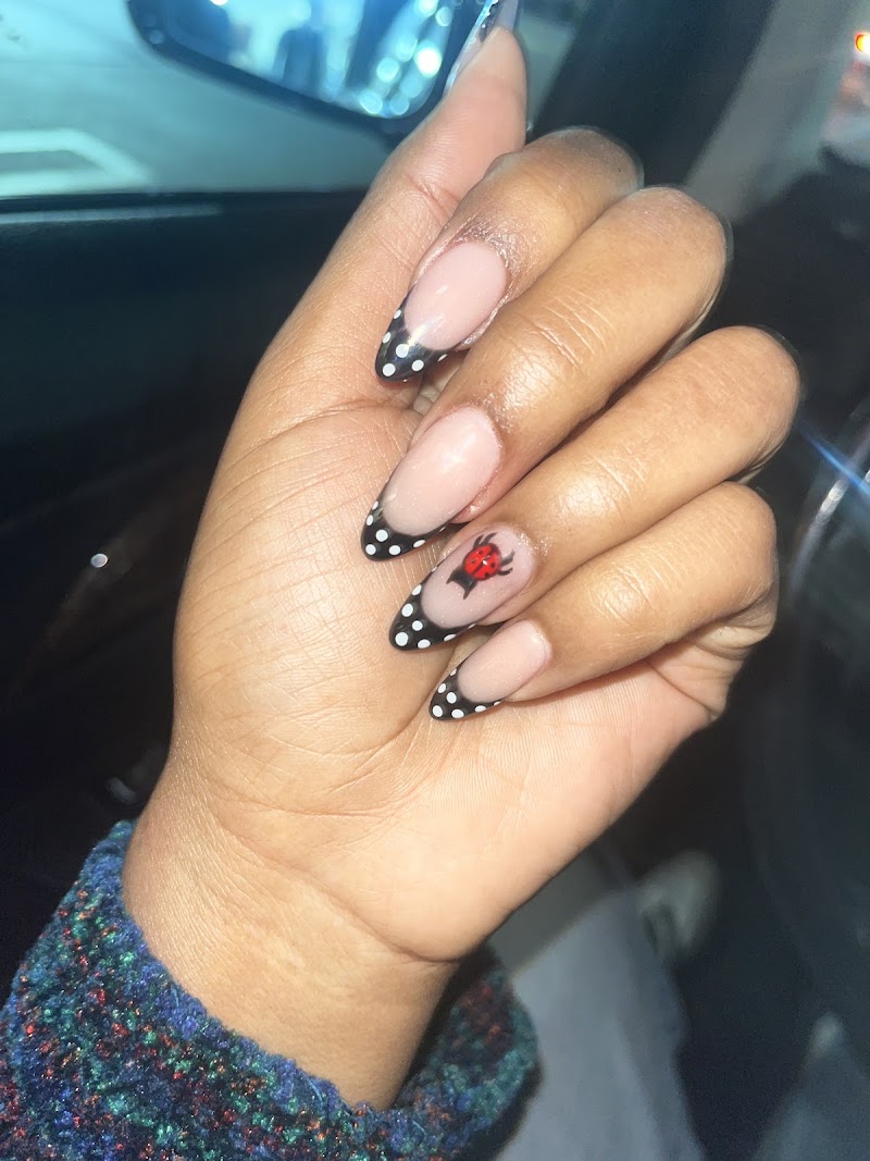 Gallery Nails & Spa photo 5