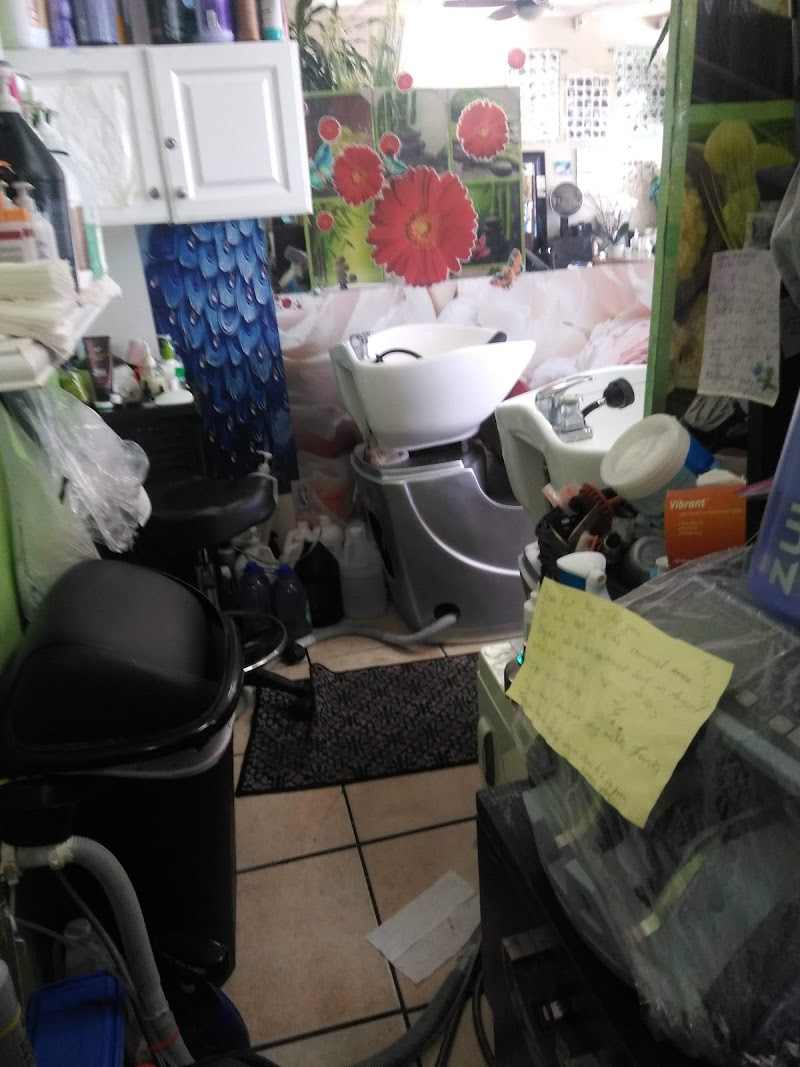 Ever Kut Family Hair Care photo 3