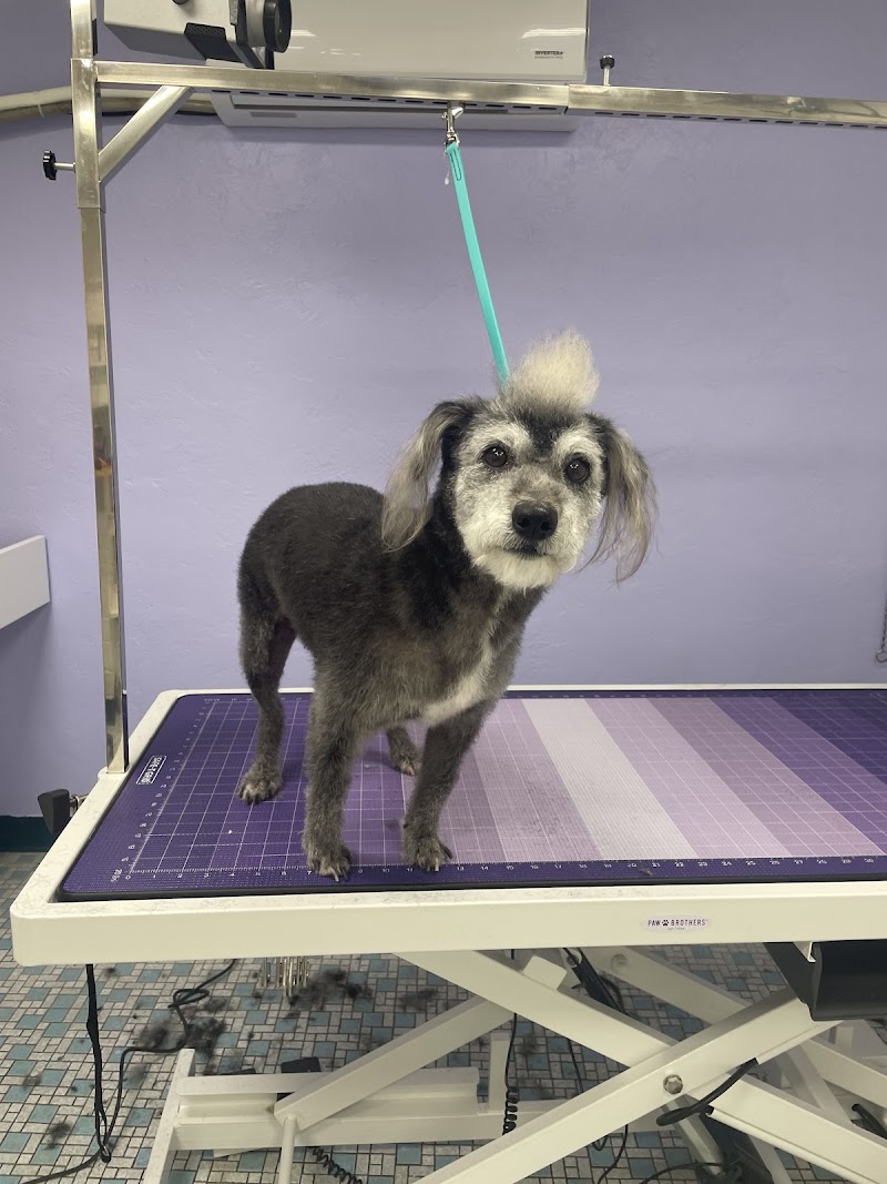 Photo of Balboa's Bed & Biscuit