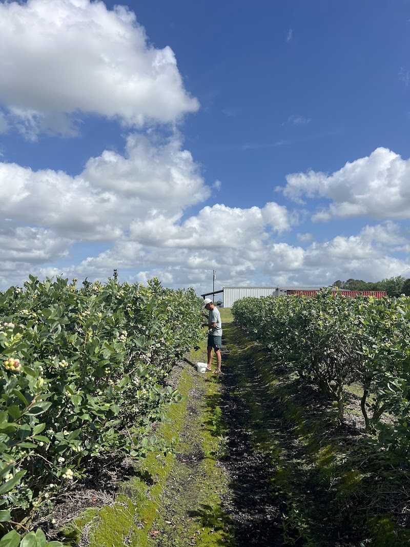 RoyalBluesFarm photo 2