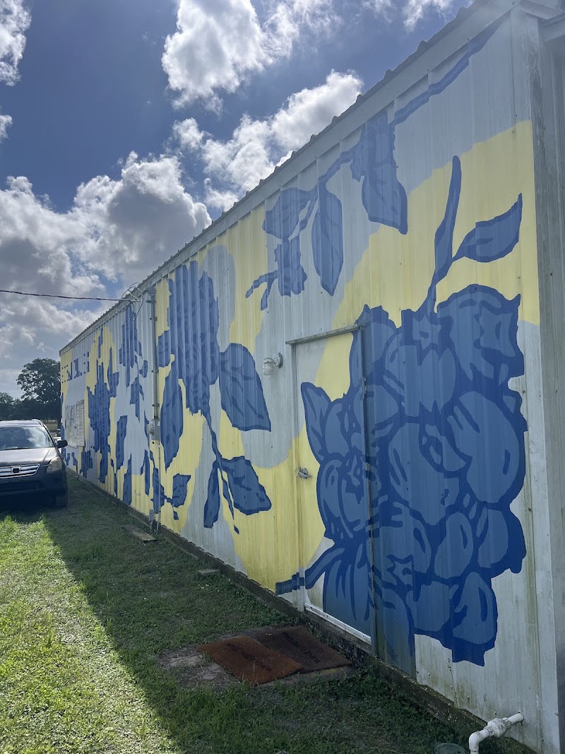 RoyalBluesFarm photo 4