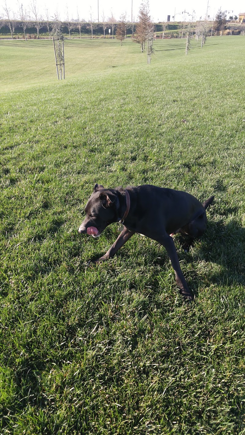 Summer Lake Park photo 3