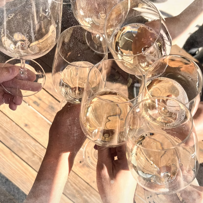 Photo of STEREOGRAPH Wines