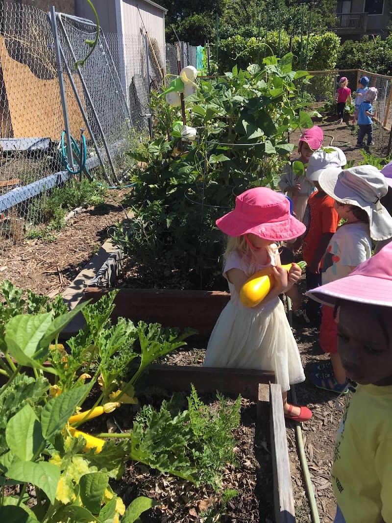Saratoga French Cultural Preschool photo 3