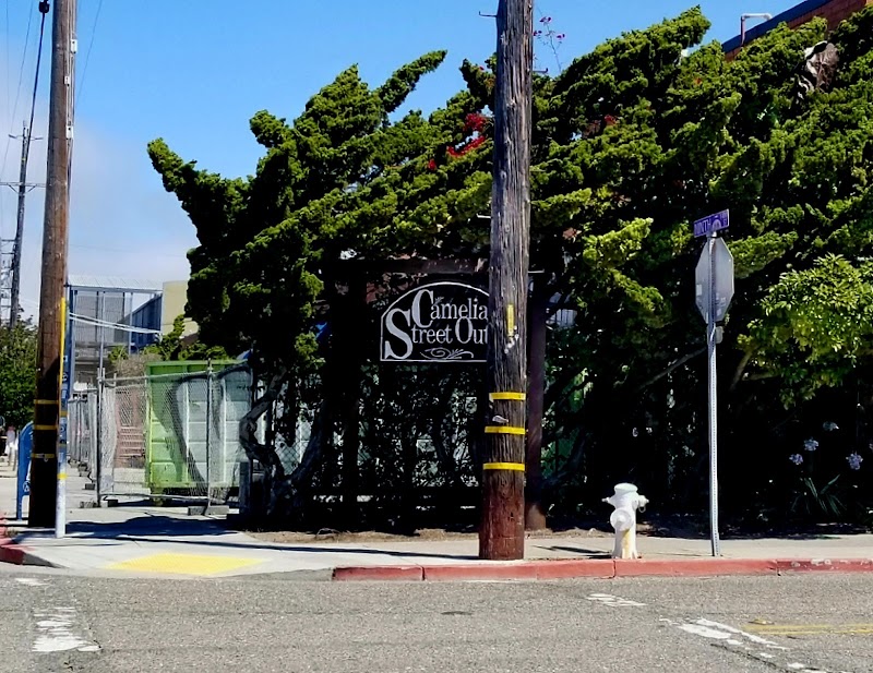 Photo of Camelia Street Outlet