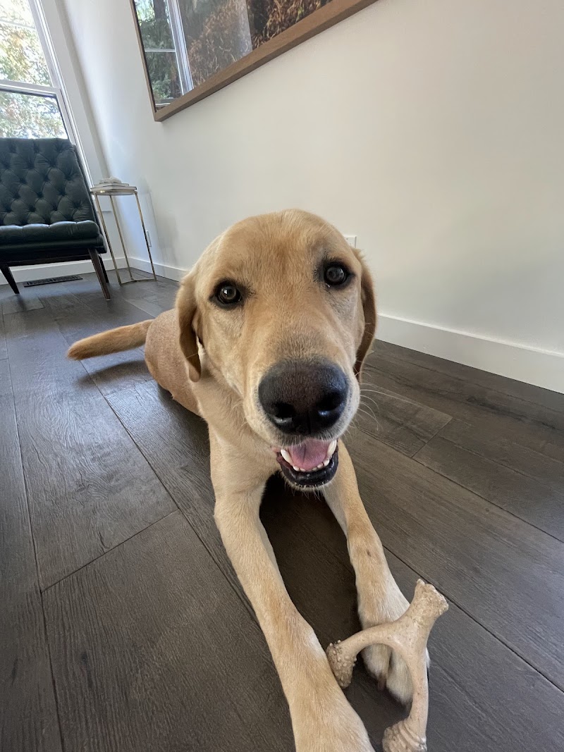 Starr Pet Resort & Grooming Spa photo 2