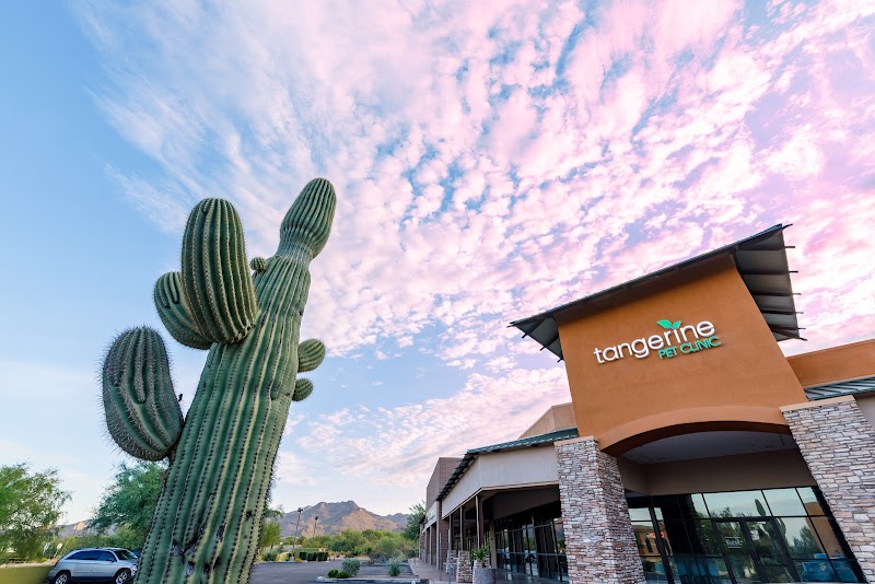 Photo of Tangerine Pet Clinic