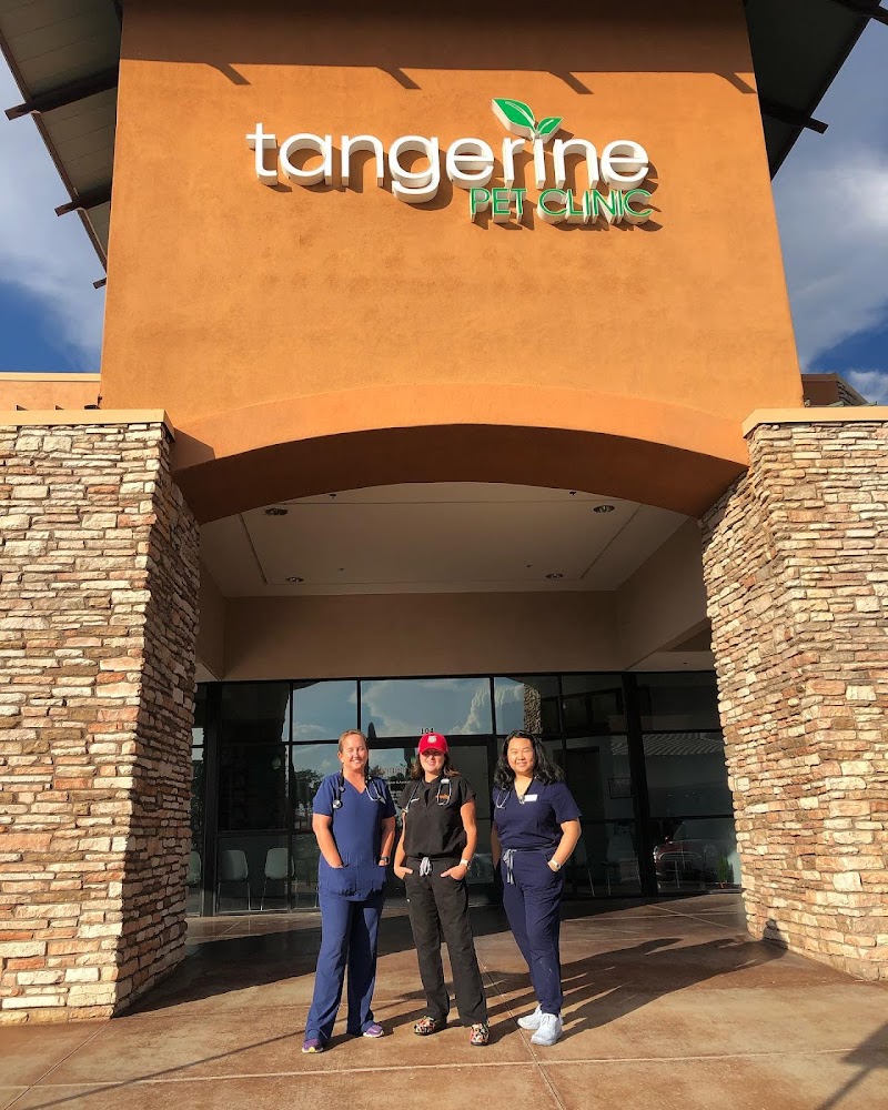 Tangerine Pet Clinic photo 2