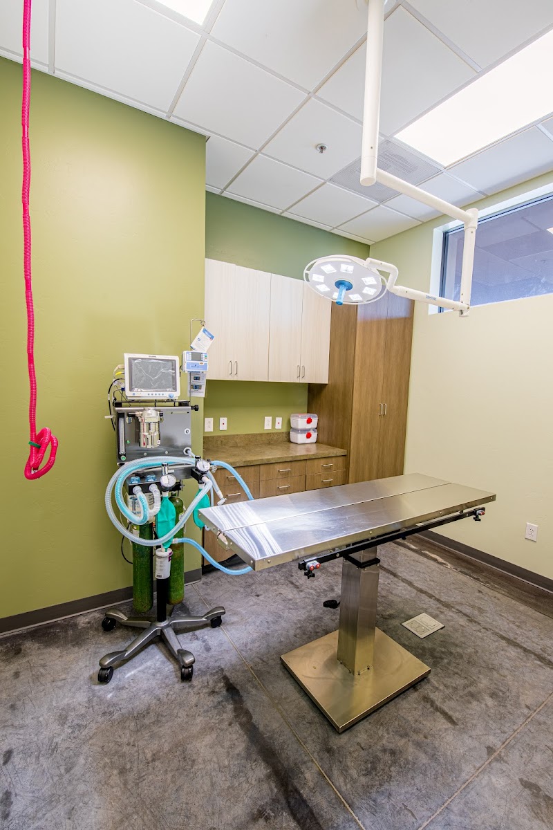 Tangerine Pet Clinic photo 3