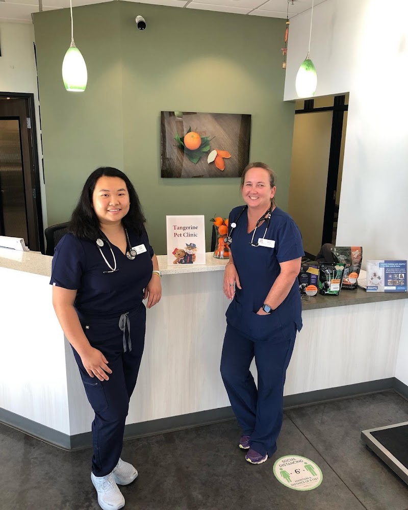 Tangerine Pet Clinic photo 5
